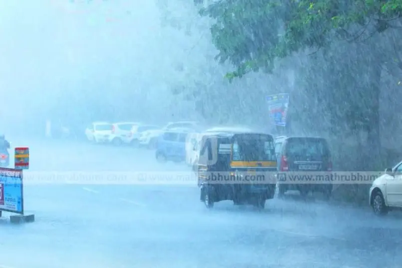 Heavy rain:1 killed, several injured as house collapses in Palakkad