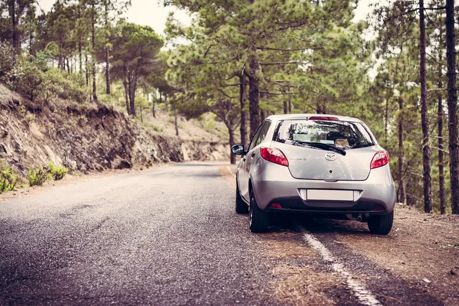 Road trips, outdoor time linked to happiness