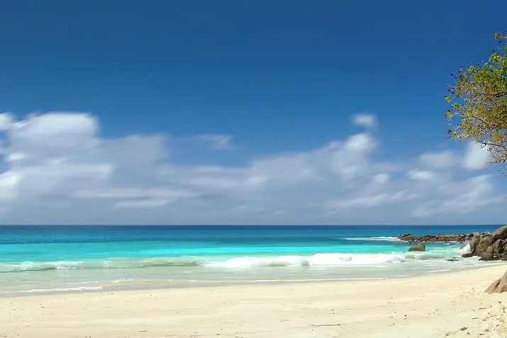 Seychelles to open up to the world from March 25