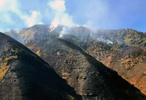 Nagaland | Photo: ANI