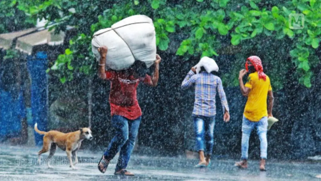 Representative image | Photo: Mathrubhumi