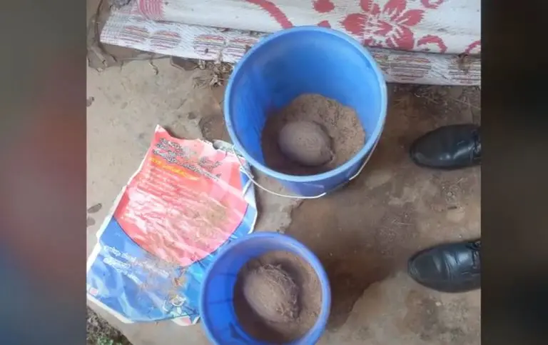 സ്കൂളില്നിന്ന് കണ്ടെത്തിയ ബോംബുകള്