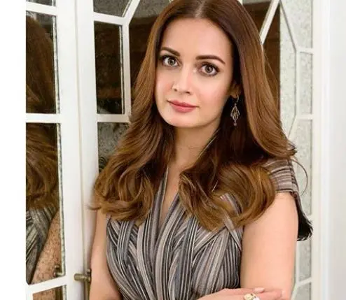 Dia Mirza. Photo:Instagram