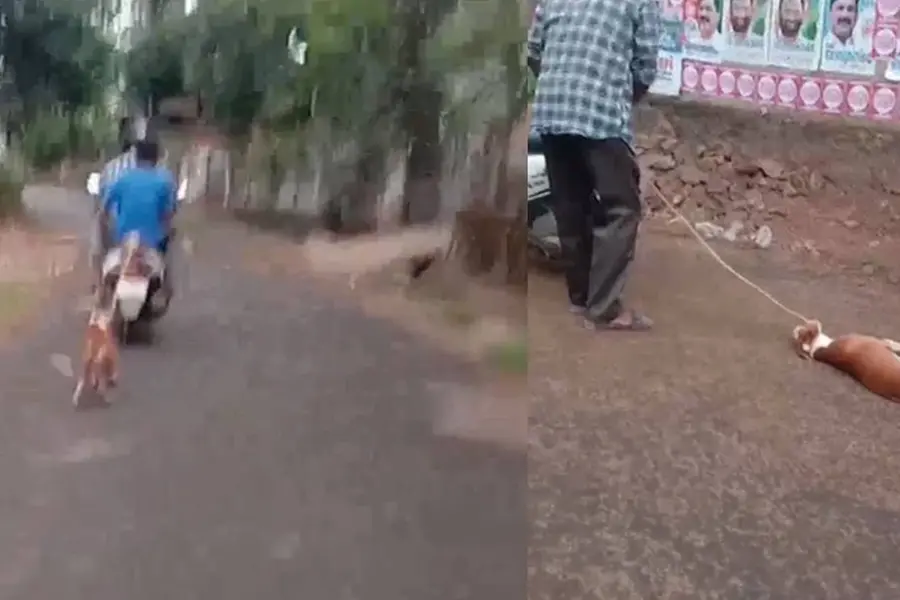 Police arrest man for dragging pet dog tied on scooter along road in Malappuram