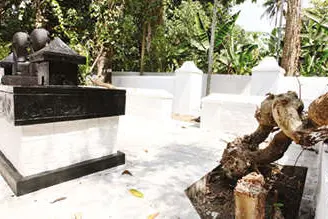 Poet Sugathakumari's ancestral house renovated; plants in snake grove destroyed