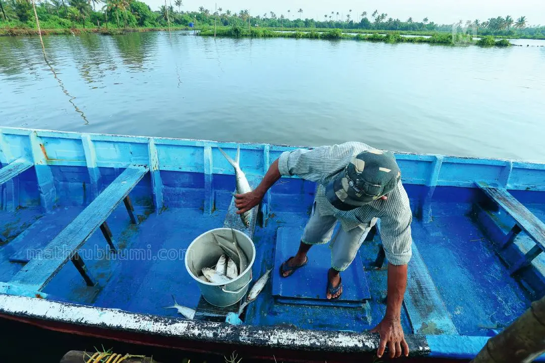 Representative image | Photo: Mathrubhumi