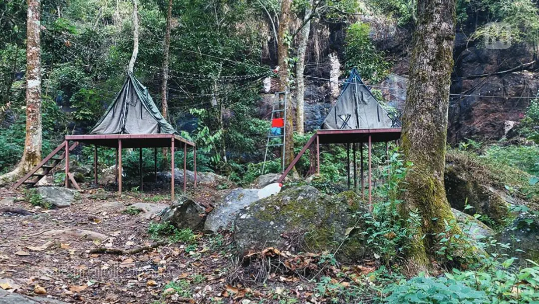 The tents in Elambileri where the tragedy occurred | Photo: Mathrubhumi