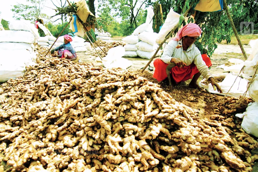 Why Kalappara is called ‘Injippara’ now; Read and find out