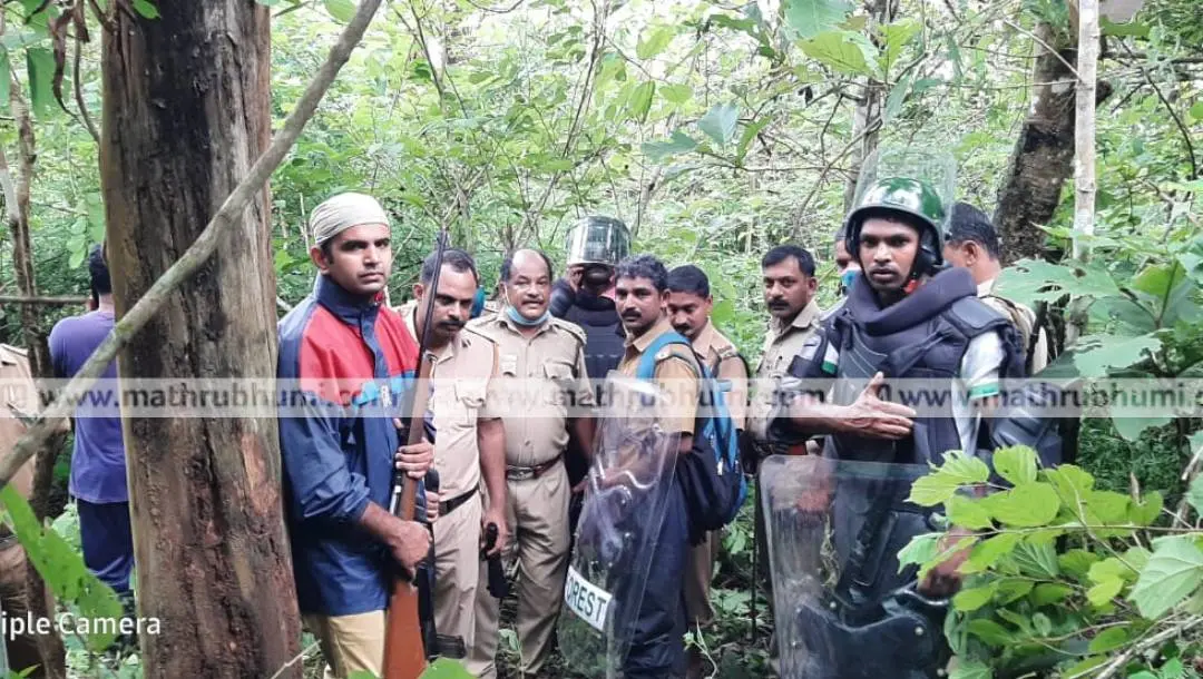 Forest officials along with police searching for the missing youth in forest