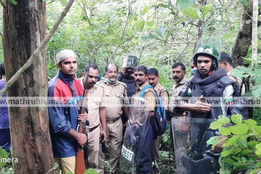 Adivasi youth killed in tiger attack in Wayand