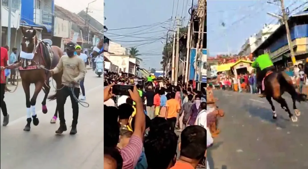 Horse running into the crowd | Screengrab: Mathrubhumi News