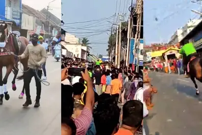 Horse race held violating Covid protocol in Palakkad; case booked against organisers