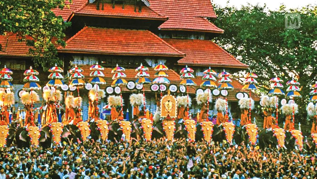 Representational Image | Photo: Mathrubhumi