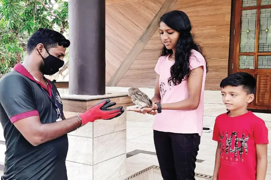 Girl takes care of young barn owl, hands over to forest dept after it grew up