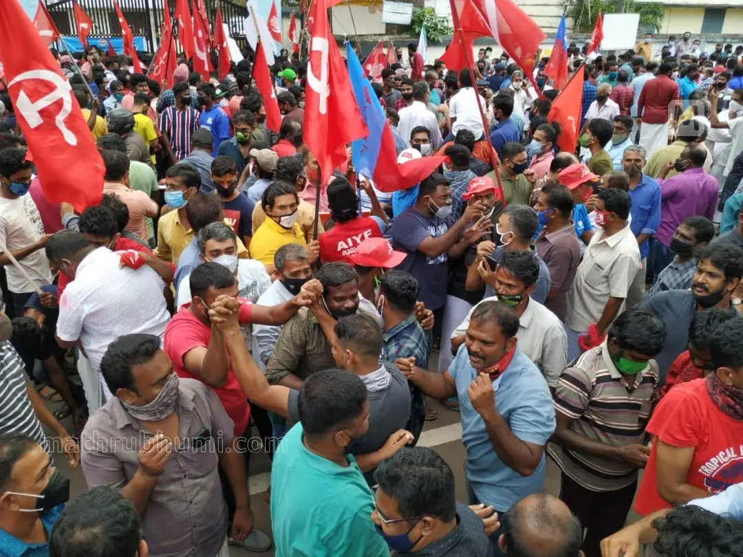 LDF celebration
