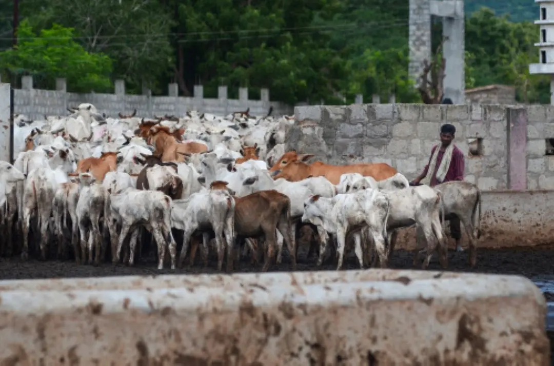 Representational image | Photo: PTI