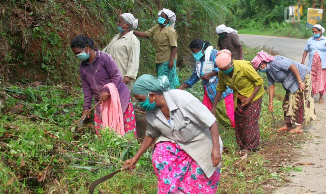 Women labourers | Photo: Binoj PP | Mathrubhumi