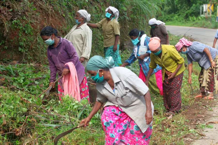Employment Guarantee Scheme to be revised totally; minor works like clearing weeds to be avoided