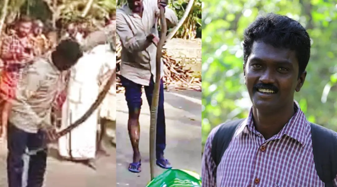 Vava Suresh being bitten by the cobra (Left), Suresh trying to put the snake in the sack even after being bitten (Right)
