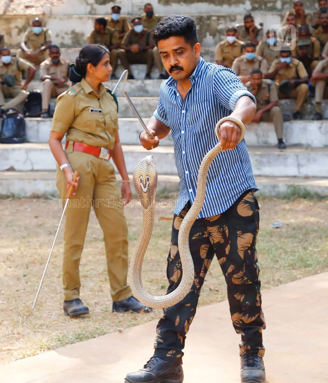 From the snake rescue training of foresty department | Photo: Mathrubhumi