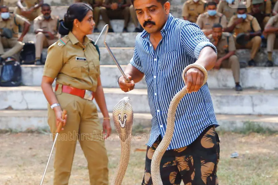 Forest Department to train public on rescuing snakes in March