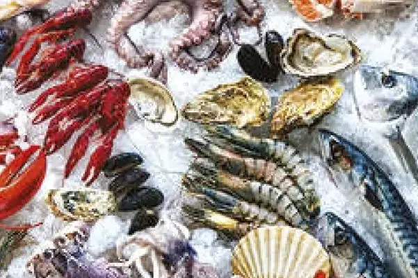 Seafood export industry facing crisis in Kerala due to shortage of containers