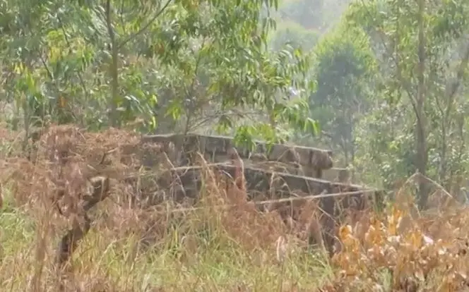 Photo: Mathrubhumi news screen grab