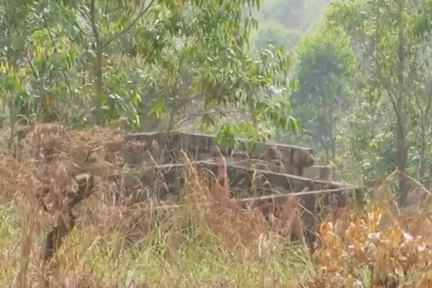 Is the forest dept teaming up with land mafia to evict tribal families from Idukki?