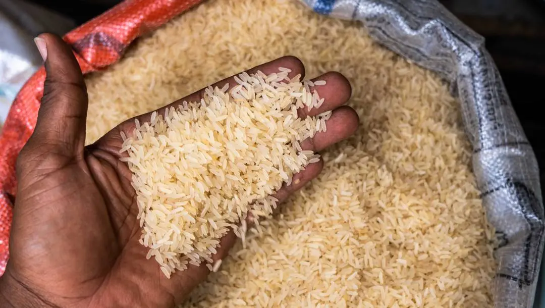 Representational Image | Photo: Benson Ibeabuchi | AFP