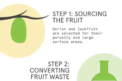 Now charge your mobile phones, laptops with jackfruit