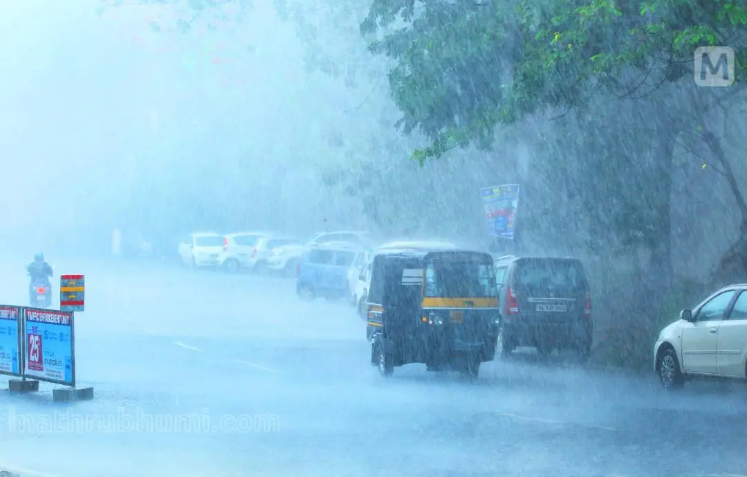 Representative image | Photo: P P Ratheesh | Mathrubhumi