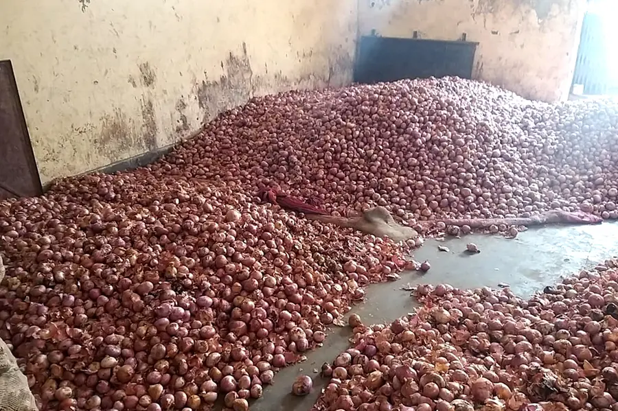 Onion price almost doubles within 2 weeks in state