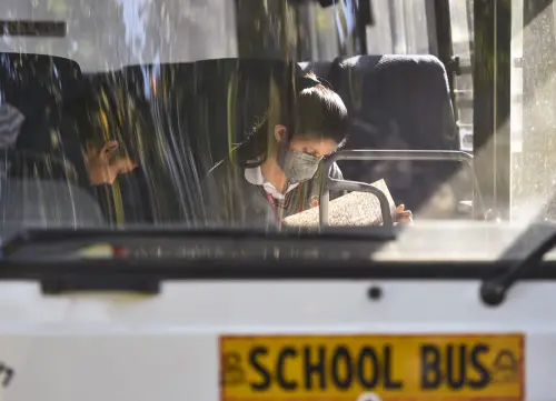 A teenager inside a vehicle wearing mask | Photo: PTI
