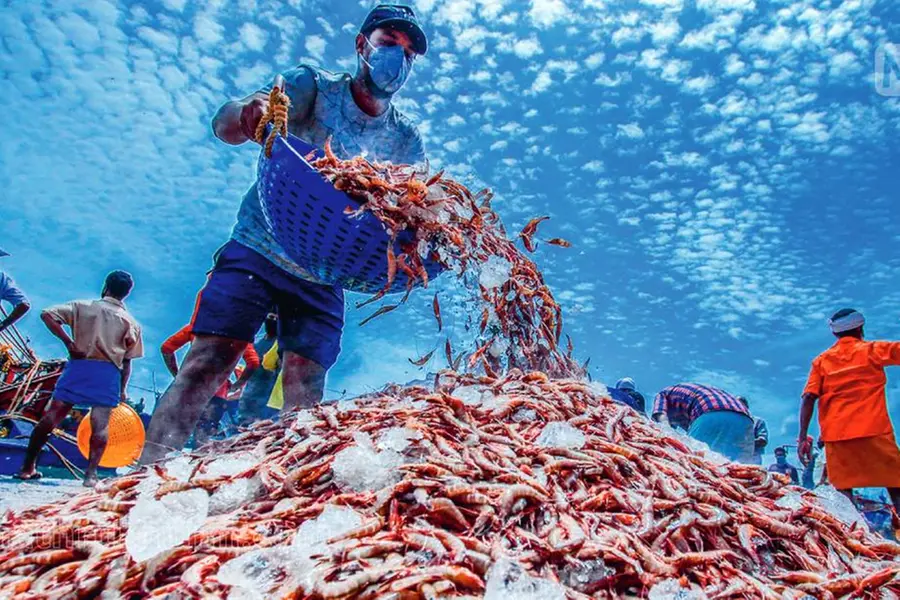 Five pc commission for govt: Auction related ordinance raises concern among fisherfolk