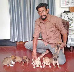Puppies saved by Jijo