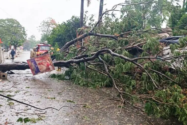 Cyclone Amphan: High velocity winds pound Odisha, cargo flight operations suspended