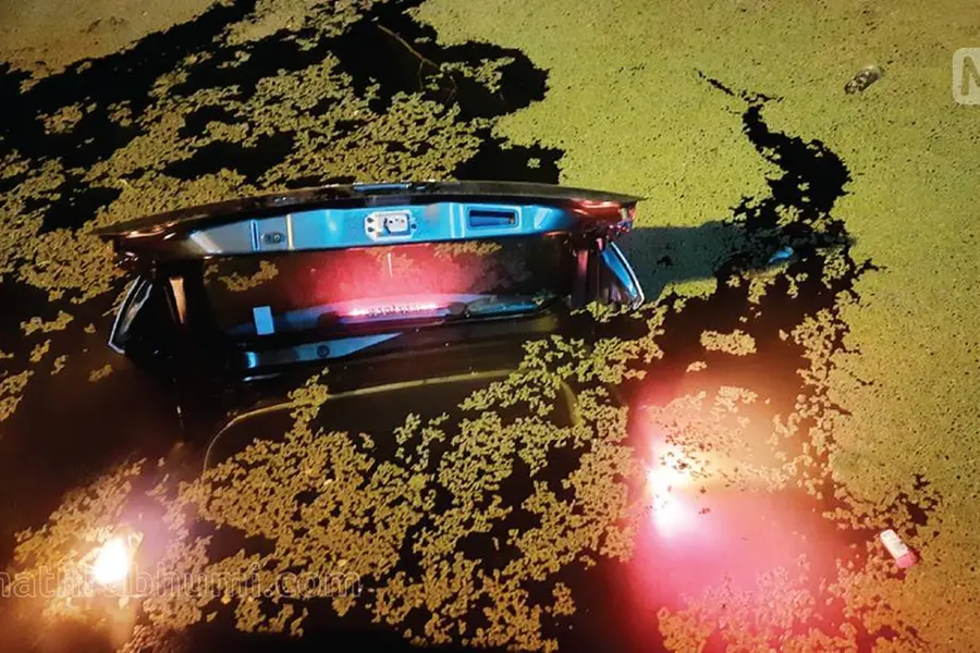 Men sink after parking vehicle in weed-filled pond