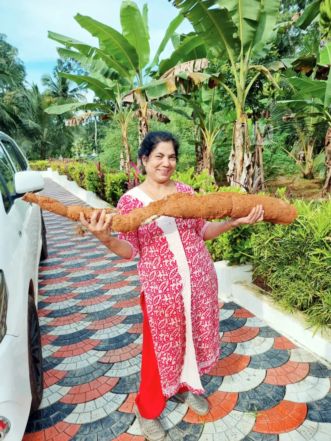 Shiny Jain carrying the giant tapioca