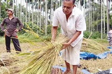 Even at 72, this MLA is never tired of farming