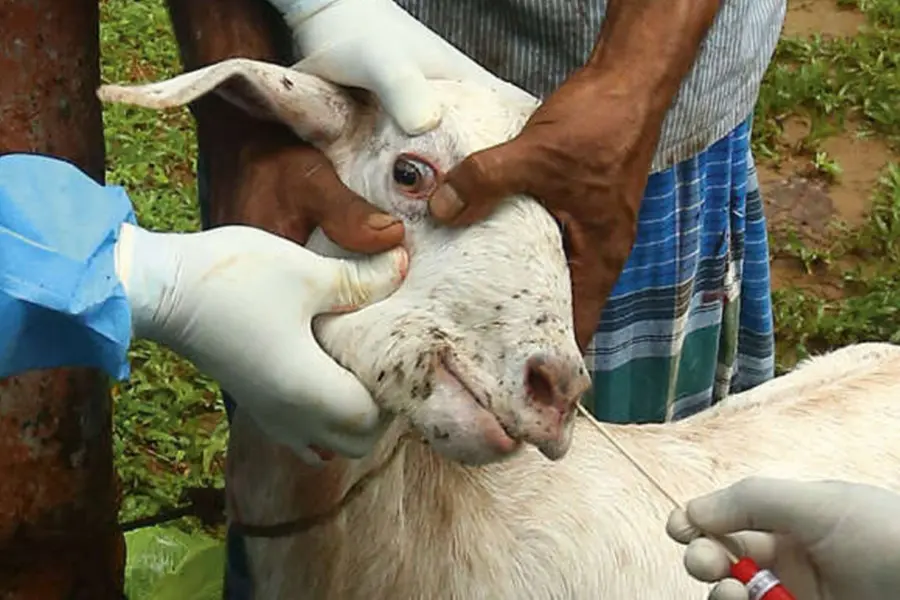 Study lists Kerala as hot spot of wildlife zoonotic diseases