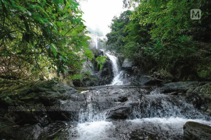 Thusharagiri waterfalls