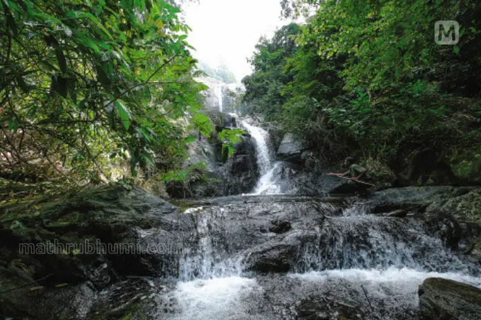 Thusharagiri forest conservation forum, environmentalists urge govt to intervene in disputed land