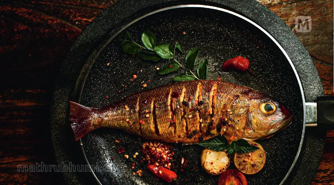 Red snapper fry | Photo: NM Pradeep