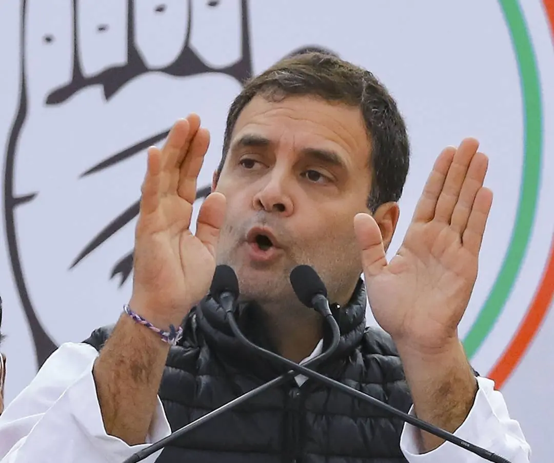 Rahul Gandhi (Photo: PTI)