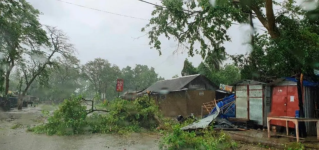 A tree uprooted due to heavy wind and rain ahead of cyclone 'Amphan' landfall, in Balasore district, Odisha on Wednesday. (PTI Photo)