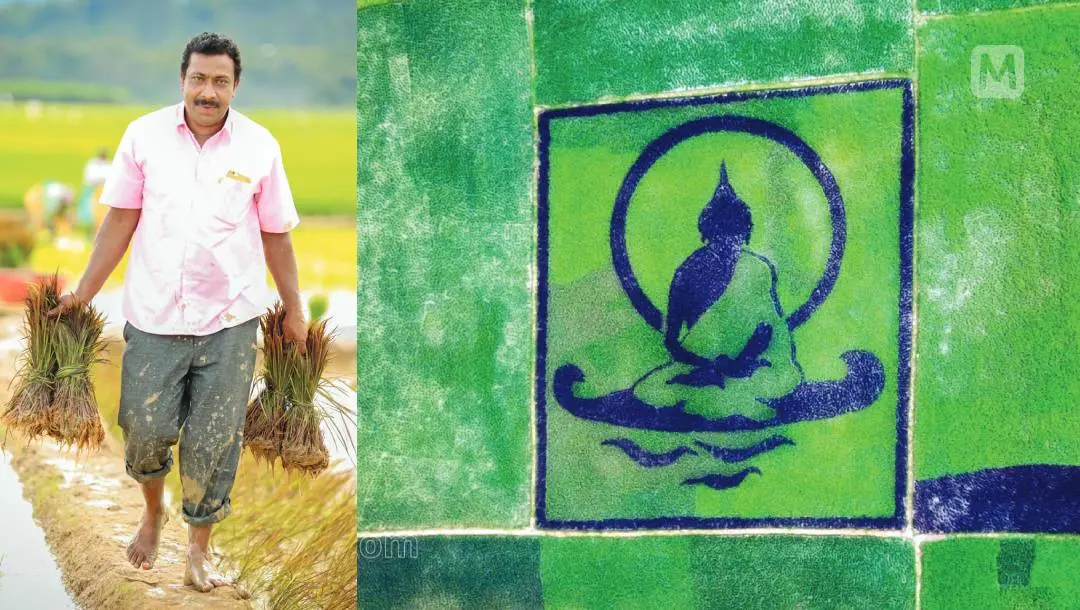 1. പ്രസീത് കുമാര് 2. നെല്ച്ചെടികള്കൊണ്ടുള്ള ശ്രീബുദ്ധന്റെ ചിത്രത്തിന്റെ ആകാശദൃശ്യം | ഫോട്ടോ: മാതൃഭൂമി