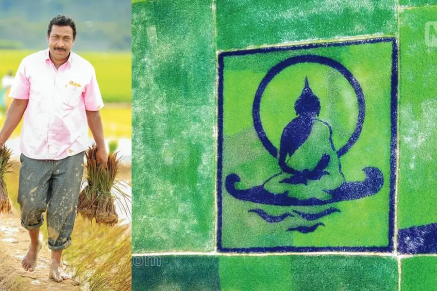 കതിരിട്ട നെല്ച്ചെടികള്കൊണ്ട് ബുദ്ധന്റെ ചിത്രം; പ്രസീത് ഒരുക്കിയത് വയല്ചിത്രമെന്ന വിസ്മയം