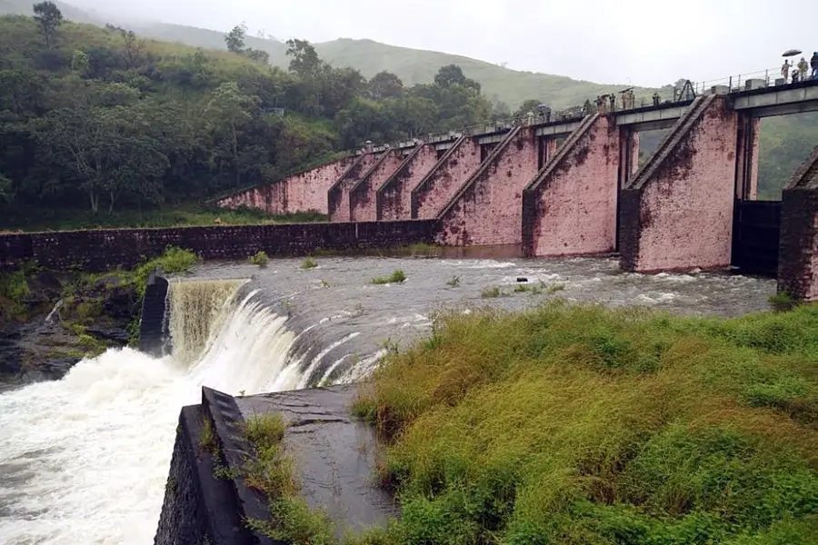 TN sought permission to cut 23 trees in Mullaperiyar; order issued by officials comes to light