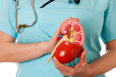 Kidney mafias thriving on Kerala coasts