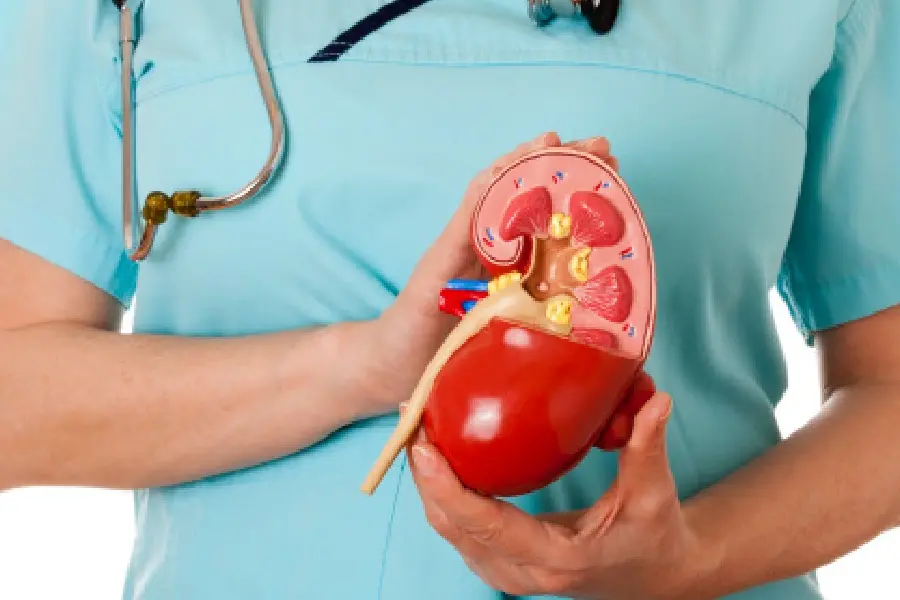 Kidney mafias thriving on Kerala coasts